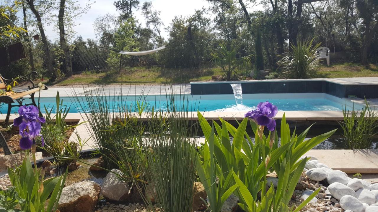 La Villa Provencale Lorgues Ngoại thất bức ảnh